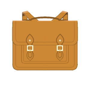 Satchel