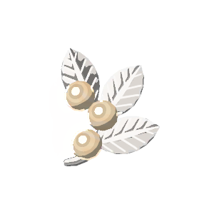 Pearl brooch