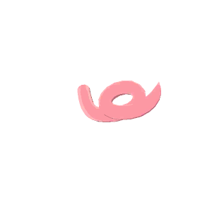 Pig tail
