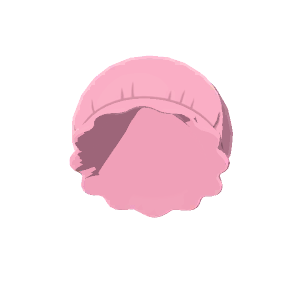 Silk sleeping cap