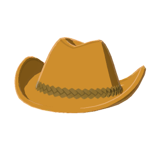 Ten-gallon hat