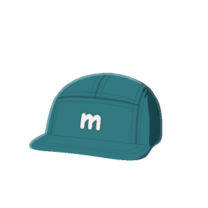 Basic 5-panel cap