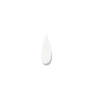 Horn