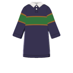 Polo dress