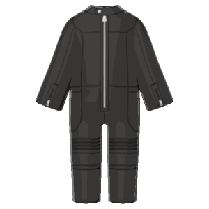 Biker's leathers