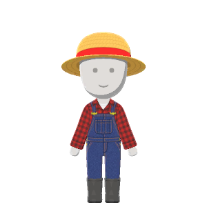 Country outfit