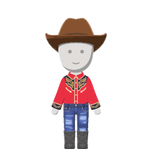 Western outfit