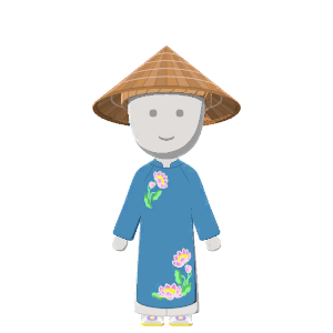 Ao dai outfit