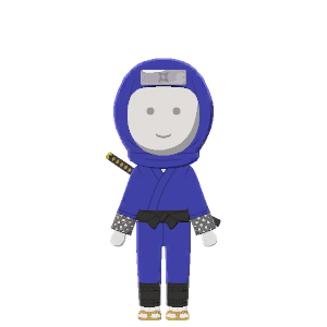 Ninja costume