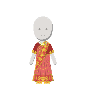 Sari outfit