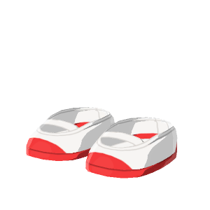 Indoor shoes